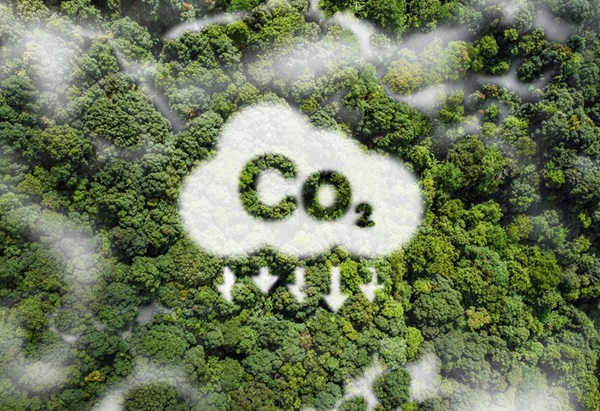 CO2 emissions