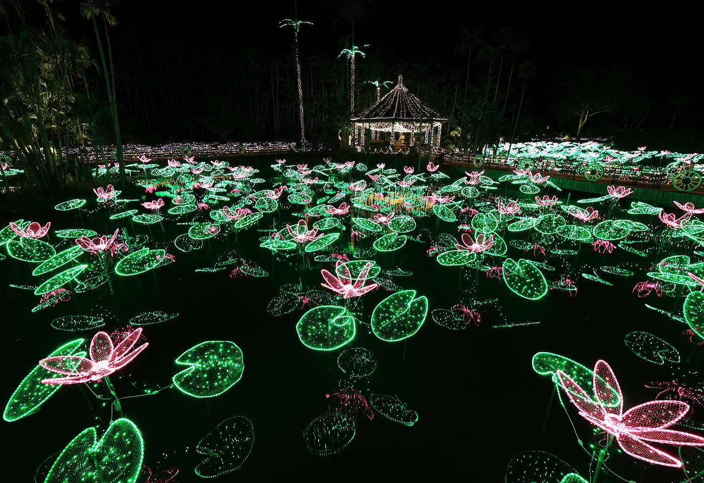 Image of neon waterlily lights taken using the RF 15-30mm f/4.5-6.3 IS STM wide angle lens