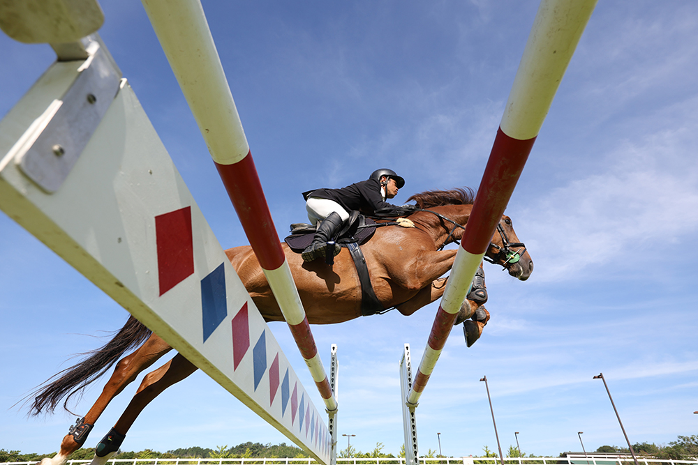 Image of an equestrian taken using the EOS R6 Mark II mirrorless camera