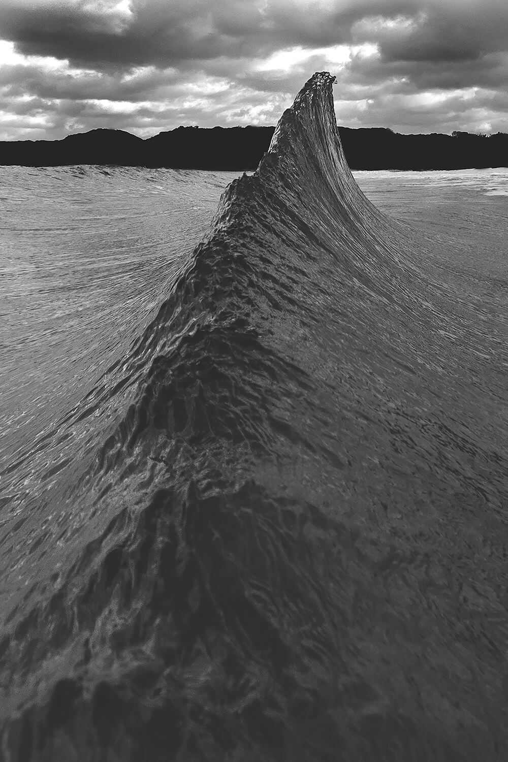 Shark Fin by Matt Burgess