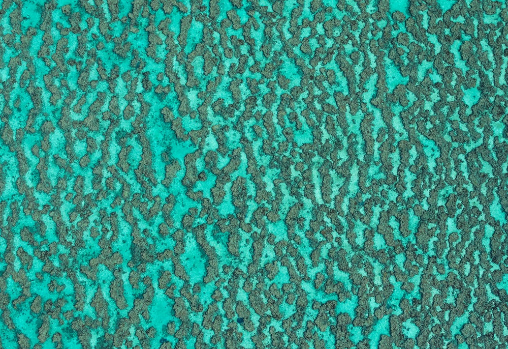 aerial photo of the Great Barrier Reef
