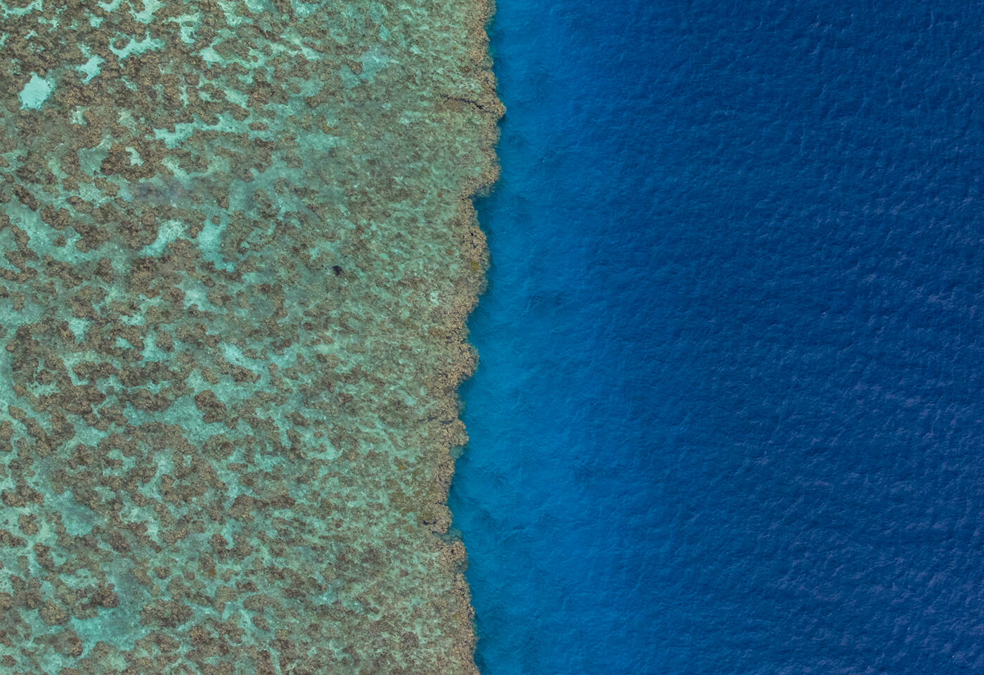 aerial photo of the Great Barrier Reef