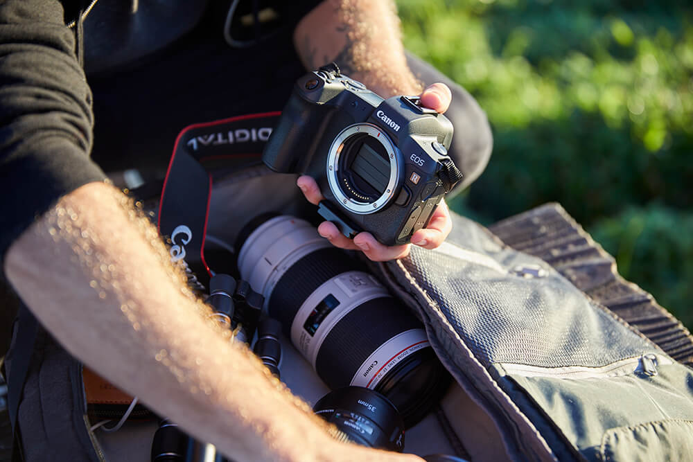 image of the EOS R