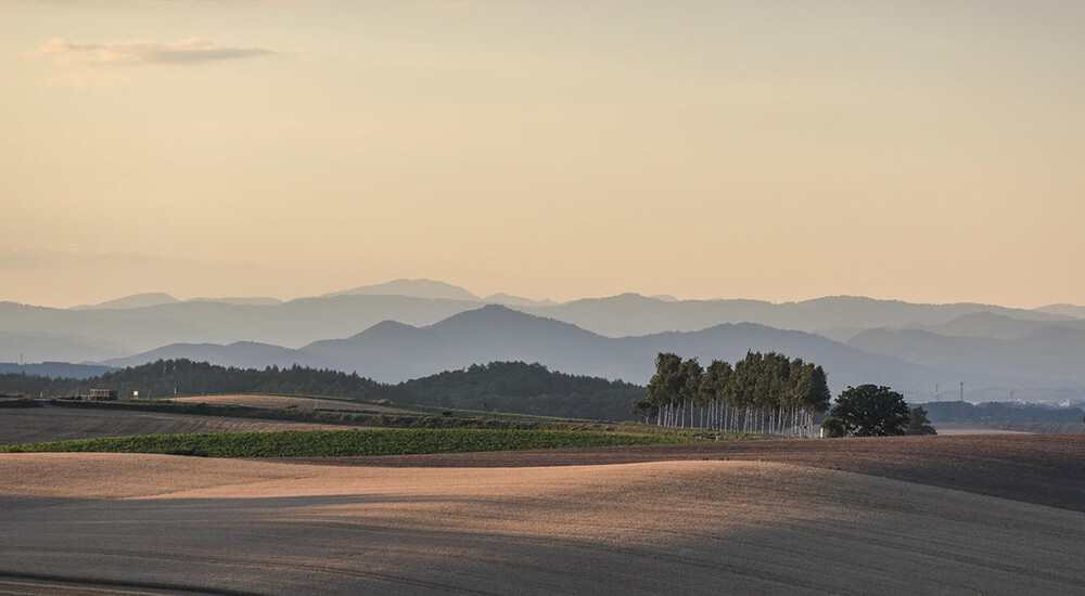 image of a valley taken with the EOS R. Image by Dr Chris Brown