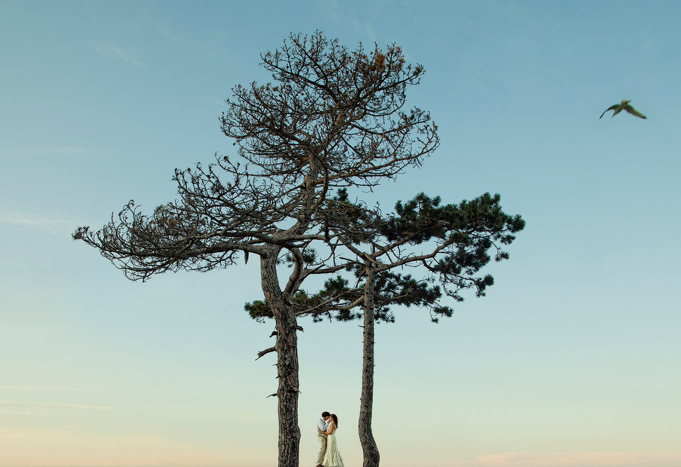 Wedding photo